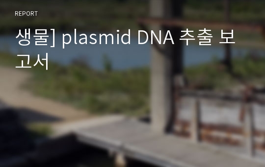 생물] plasmid DNA 추출 보고서