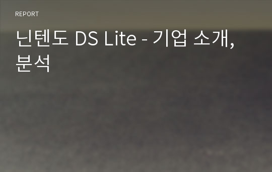 닌텐도 DS Lite - 기업 소개, 분석