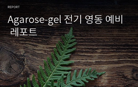 Agarose-gel 전기 영동 예비 레포트