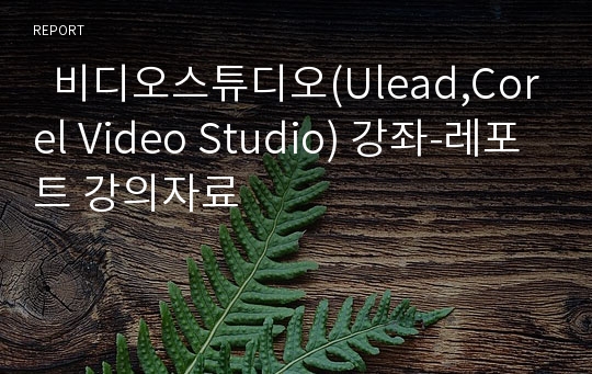   비디오스튜디오(Ulead,Corel Video Studio) 강좌-레포트 강의자료