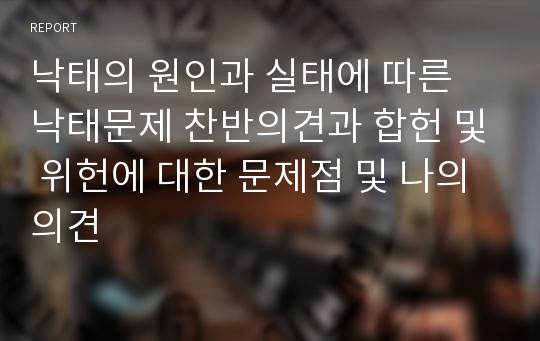 낙태의 원인과 실태에 따른 낙태문제 찬반의견과 합헌 및 위헌에 대한 문제점 및 나의의견