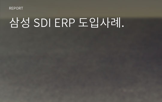 삼성 SDI ERP 도입사례.