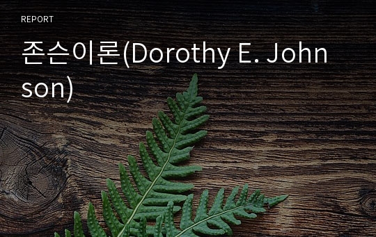 존슨이론(Dorothy E. Johnson)