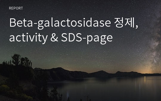 Beta-galactosidase 정제, activity &amp; SDS-page