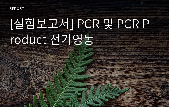 [실험보고서] PCR 및 PCR Product 전기영동