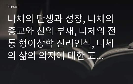 니체의 탄생과 성장, 니체의 종교와 신의 부재, 니체의 전통 형이상학 진리인식, 니체의 삶의 의지에 대한 표현, 니체의 아방가르드 예술과 이중성, 니체의 희랍에 대한 양가적 판단 분석(니체, 니체사상, 니체철학)