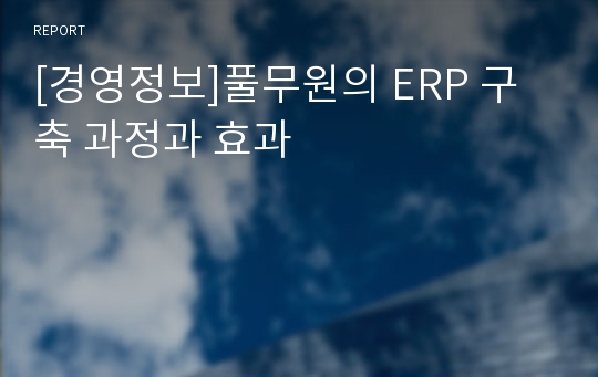 [경영정보]풀무원의 ERP 구축 과정과 효과