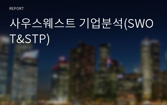 사우스웨스트 기업분석(SWOT&amp;STP)