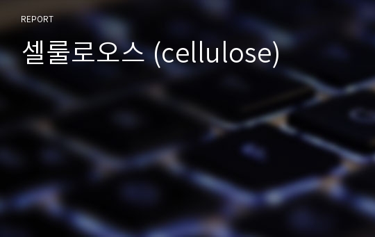 셀룰로오스 (cellulose)