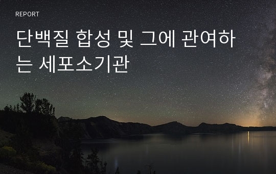 단백질 합성 및 그에 관여하는 세포소기관