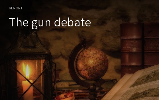 The gun debate