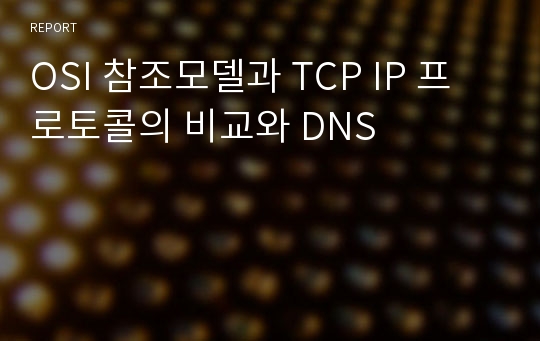 OSI 참조모델과 TCP IP 프로토콜의 비교와 DNS