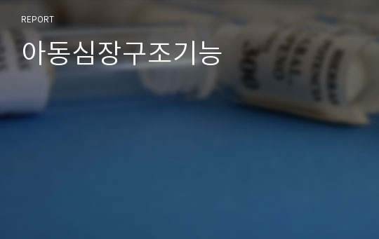 아동심장구조기능