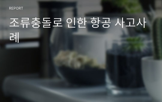 조류충돌로 인한 항공 사고사례