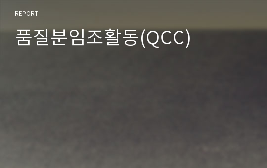 품질분임조활동(QCC)