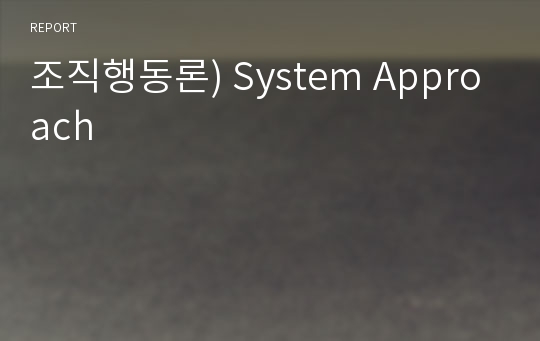 조직행동론) System Approach