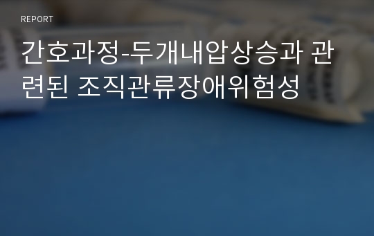 간호과정-두개내압상승과 관련된 조직관류장애위험성