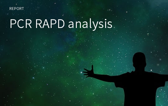 PCR RAPD analysis