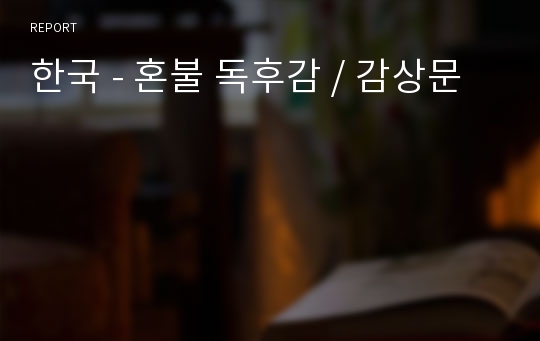 한국 - 혼불 독후감 / 감상문