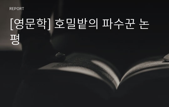 [영문학] 호밀밭의 파수꾼 논평