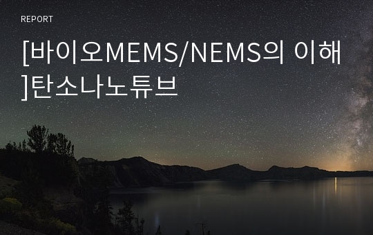 [바이오MEMS/NEMS의 이해]탄소나노튜브