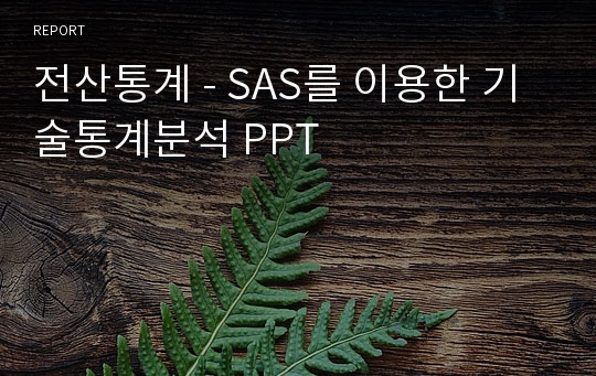 전산통계 - SAS를 이용한 기술통계분석 PPT