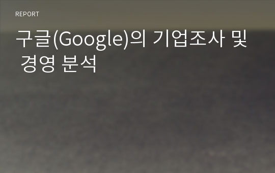 구글(Google)의 기업조사 및 경영 분석