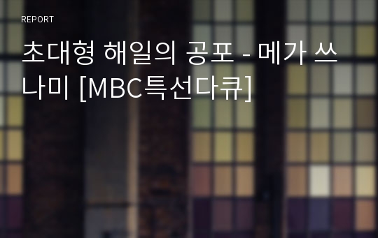 초대형 해일의 공포 - 메가 쓰나미 [MBC특선다큐]