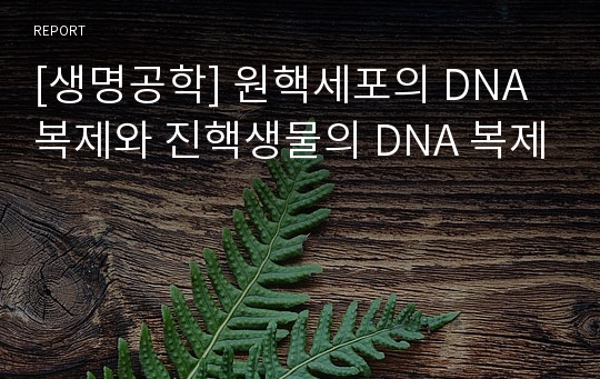 [생명공학] 원핵세포의 DNA 복제와 진핵생물의 DNA 복제