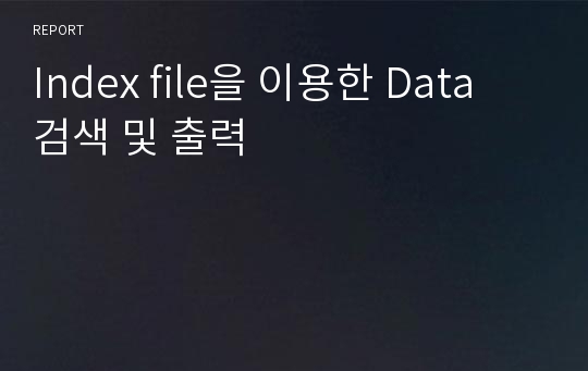Index file을 이용한 Data 검색 및 출력