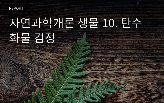 자연과학개론 생물 10. 탄수화물 검정