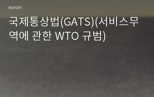 국제통상법(GATS)(서비스무역에 관한 WTO 규범)