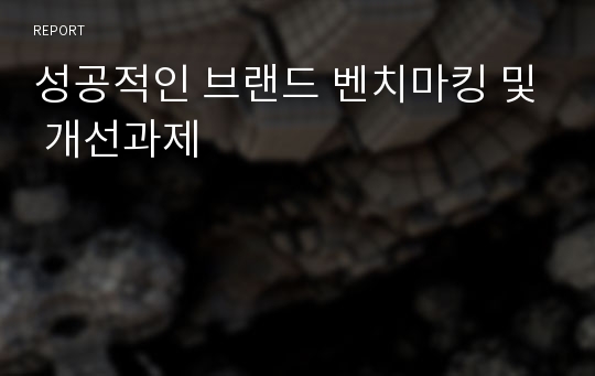 성공적인 브랜드 벤치마킹 및 개선과제