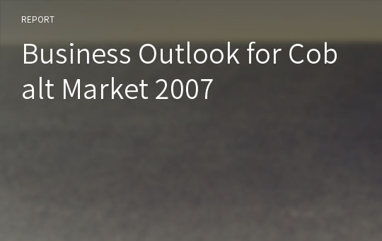 Business Outlook for Cobalt Market 2007