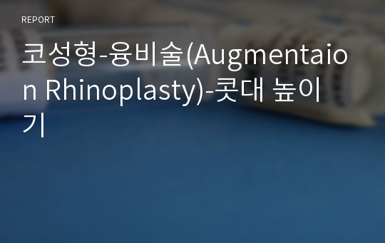 코성형-융비술(Augmentaion Rhinoplasty)-콧대 높이기