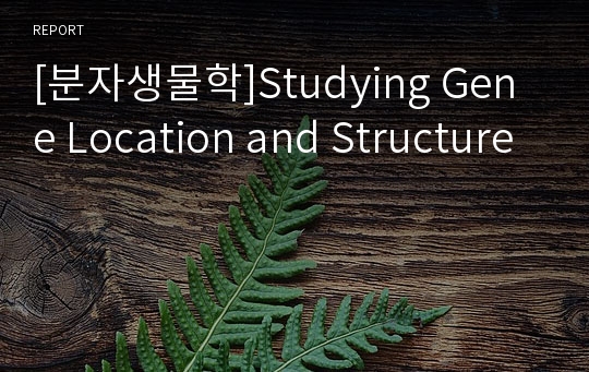 [분자생물학]Studying Gene Location and Structure