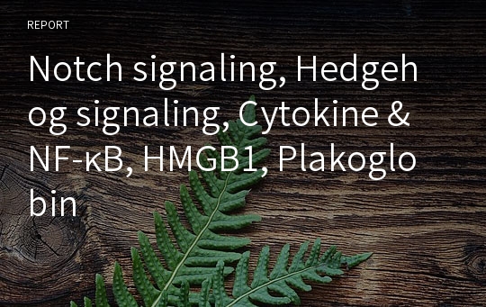 Notch signaling, Hedgehog signaling, Cytokine &amp; NF-κB, HMGB1, Plakoglobin