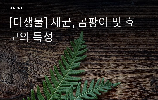 [미생물] 세균, 곰팡이 및 효모의 특성