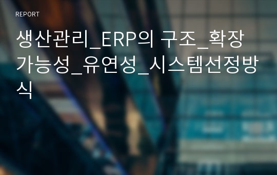 생산관리_ERP의 구조_확장가능성_유연성_시스템선정방식