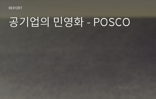 공기업의 민영화 - POSCO