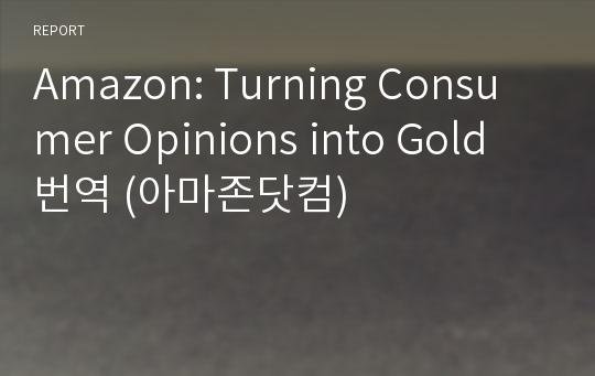 Amazon: Turning Consumer Opinions into Gold 번역 (아마존닷컴)