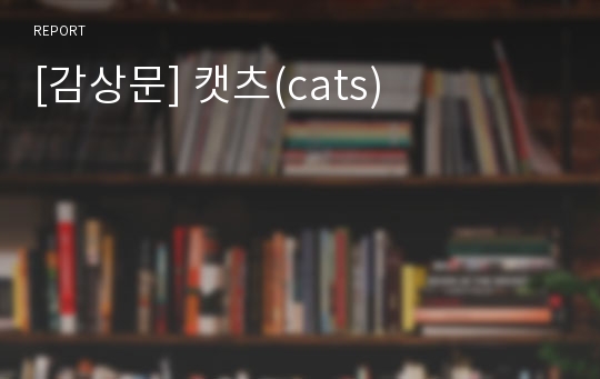 [감상문] 캣츠(cats)