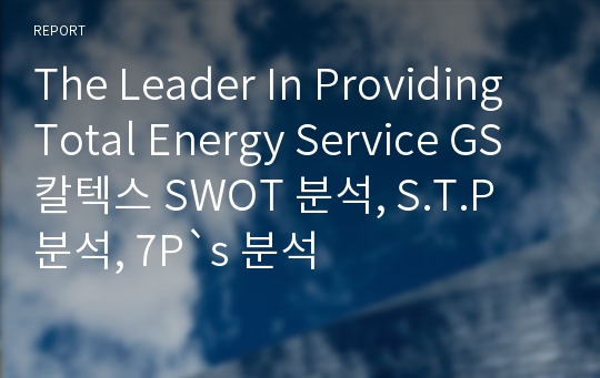 The Leader In Providing Total Energy Service GS 칼텍스 SWOT 분석, S.T.P 분석, 7P`s 분석