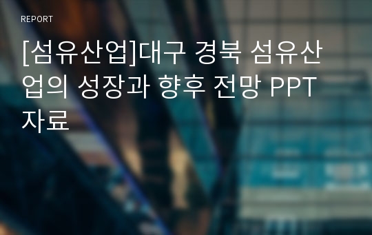 [섬유산업]대구 경북 섬유산업의 성장과 향후 전망 PPT자료