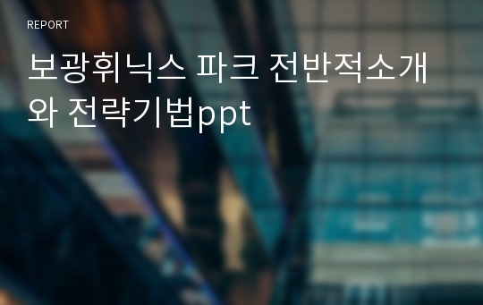 보광휘닉스 파크 전반적소개와 전략기법ppt