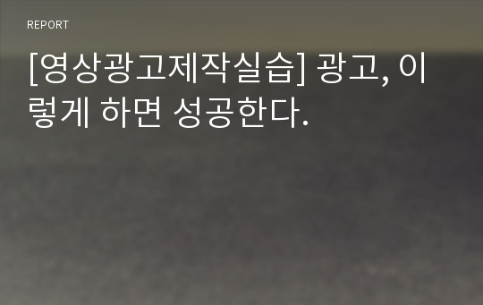 [영상광고제작실습] 광고, 이렇게 하면 성공한다.