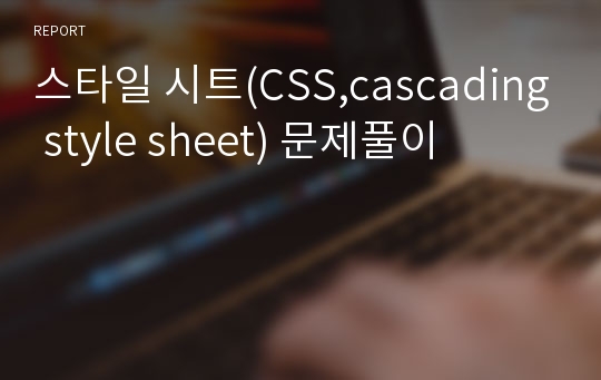 스타일 시트(CSS,cascading style sheet) 문제풀이
