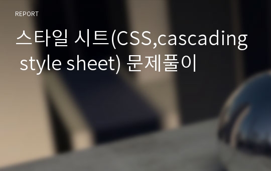 스타일 시트(CSS,cascading style sheet) 문제풀이