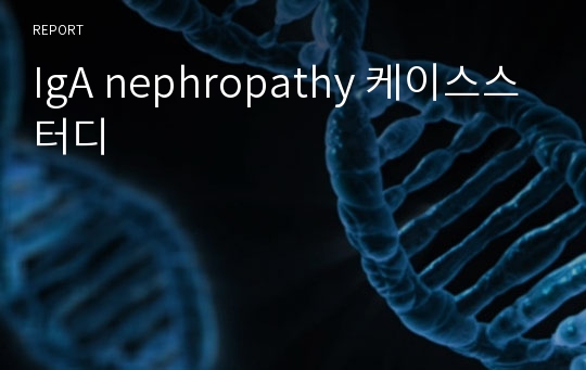 IgA nephropathy 케이스스터디