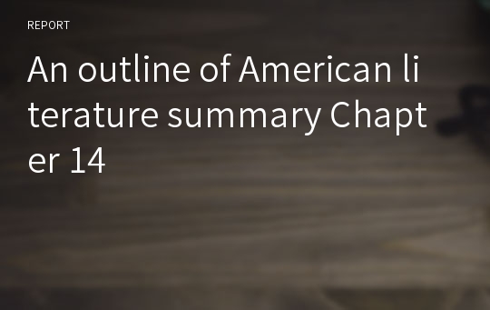 An outline of American literature summary Chapter 14